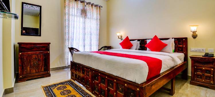 德武宫酒店(Hotel Dev Palace)图片