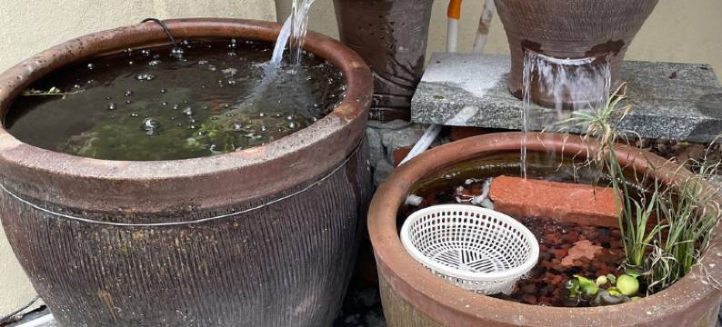 汀风小院(衢州高铁站店)图片