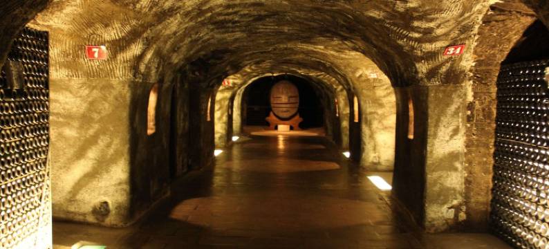 宜必思埃佩尔奈市中心酒店(ibis Epernay Centre Ville)图片