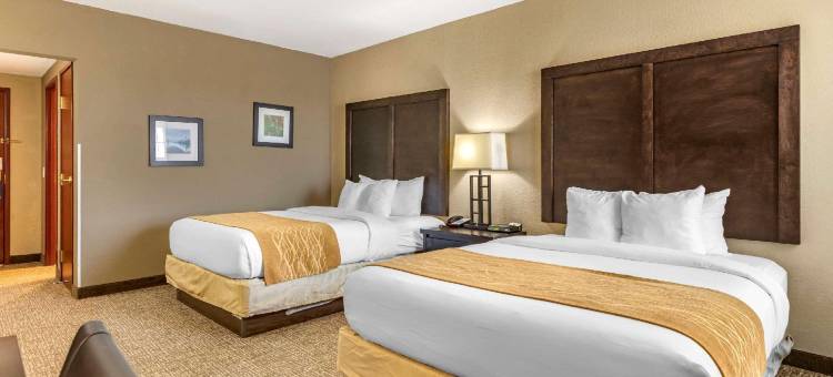 艾伦帕克/迪尔伯恩舒适套房酒店(Comfort Inn & Suites Allen Park - Dearborn)图片