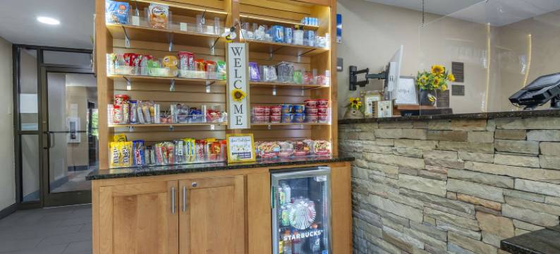 阿什维尔东-蓝岭山行车通道舒适酒店(Comfort Inn Asheville East-Blue Ridge Pkwy Access)图片