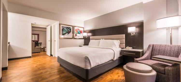 博蒙特广场I-10-瓦尔登假日套房酒店(Holiday Inn & Suites Beaumont-Plaza (I-10 & Walden))图片