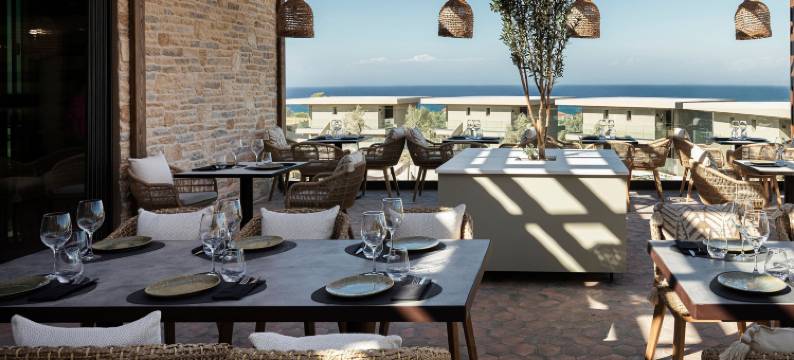 为成人设计的King Jason Zante(King Jason Zante – Designed for Adults)图片