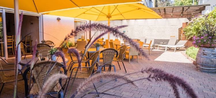 吕德斯海姆莱因酒店(Rheinhotel Rüdesheim - Wellness)图片