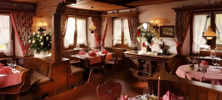 斯戴恩贝克酒店(Hotel Steinbock)图片
