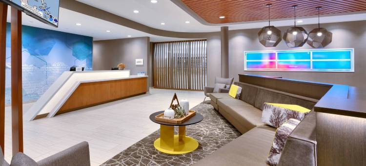 科罗拉多斯普林北／空军学院 SpringHill Suites 酒店(SpringHill Suites Colorado Springs North/Air Force Academy)图片