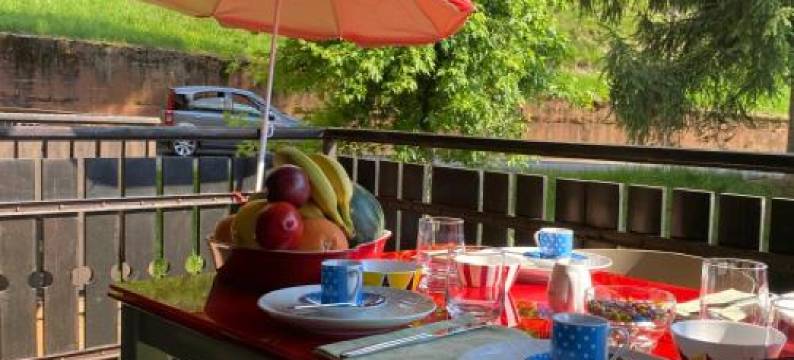 The Little Nest图片