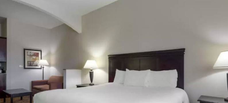 特克萨索马湖套房酒店(LAKE TEXOMA INN AND SUITES by IHG)图片