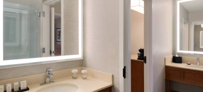 奥兰多国际大道地标公园希尔顿安泊酒店(Embassy Suites by Hilton Orlando International Drive ICON Park)图片