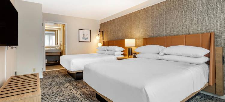 亚历山德里亚古城喜来登套房酒店(Sheraton Suites Old Town Alexandria)图片