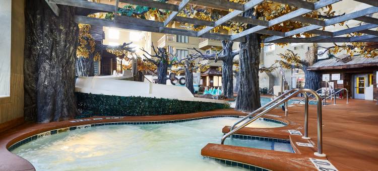 Holiday Inn & Suites 麦迪逊西(Holiday Inn & Suites Madison West - Middleton)图片