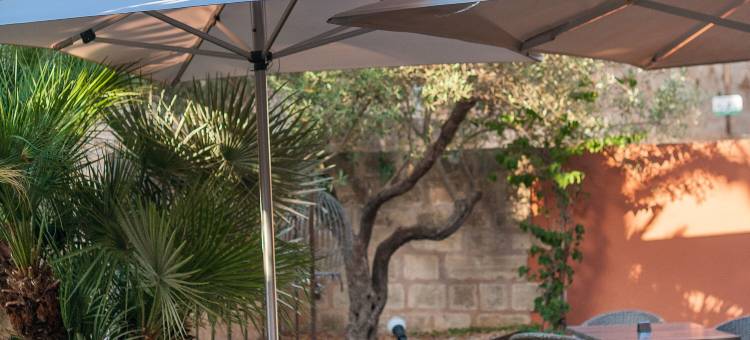 阿尔库迪亚小酒店(Alcudia Petit - Turismo de Interior)图片