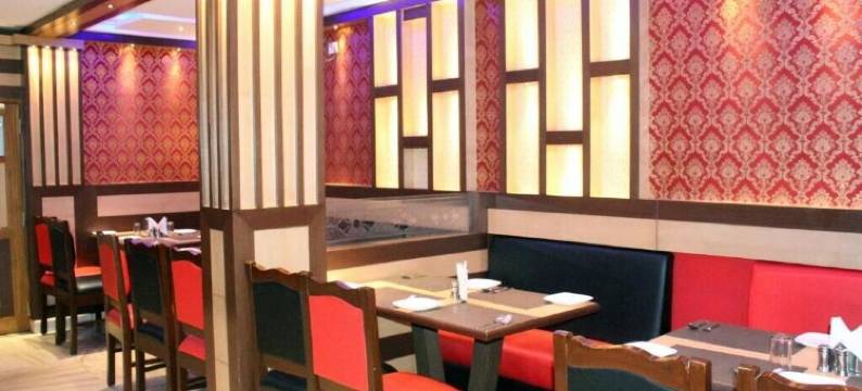 悉达多酒店(Hotel Siddhartha)图片