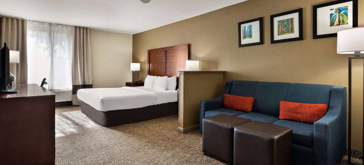 红杉国王峡谷舒适套房酒店(Comfort Inn & Suites Sequoia Kings Canyon)图片