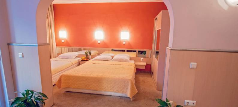 格兰伊万酒店(Family Hotel Gran Ivan)图片