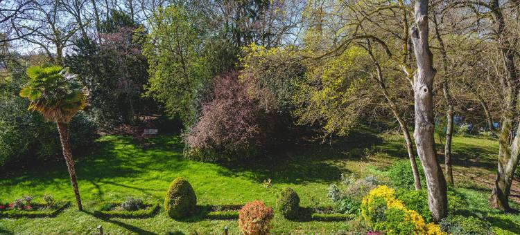 洛尔河的康特斯夫人城堡及温泉(Château La Comtesse de Loire & Spa)图片