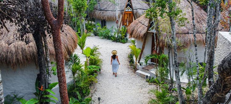 黄色巢穴(The Yellow Nest Tulum)图片