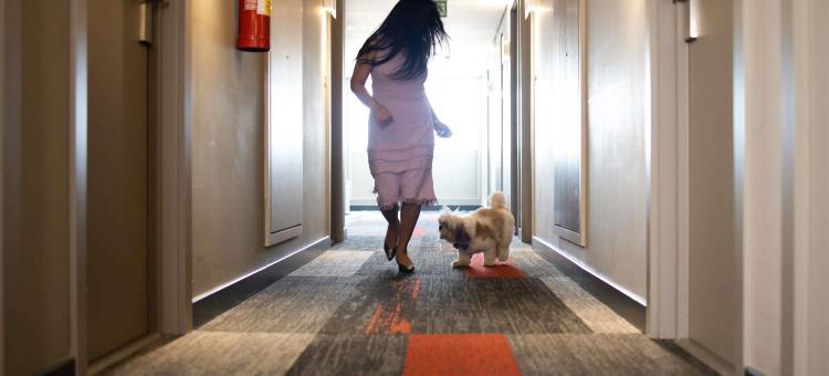 北茹阿泽鲁宜必思酒店(Ibis Juazeiro do Norte)图片