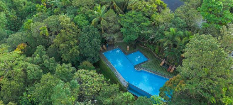 韦亚纳德银木森林度假村和水疗中心(Wayanad Silverwoods Forest Resort & Spa)图片