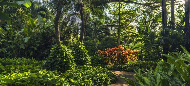 卡普唐速斯海滨精品酒店(Capitán Suizo Beachfront Boutique Hotel)图片