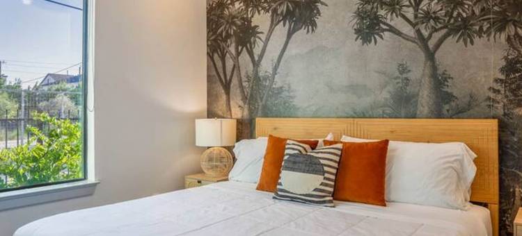 HTX天际线的城市丛林避难所(Urban Jungle Retreat in the Htx Skyline)图片