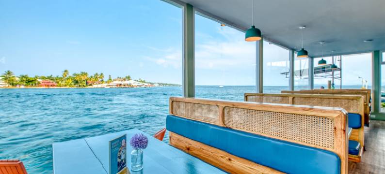 博卡斯天堂酒店(Bocas Paradise Hotel)图片