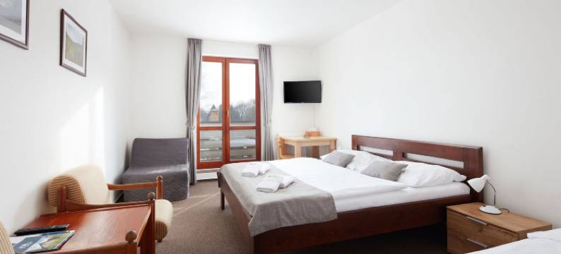 贝内茨科专业家庭酒店(ProFamily Hotel Top Benecko)图片