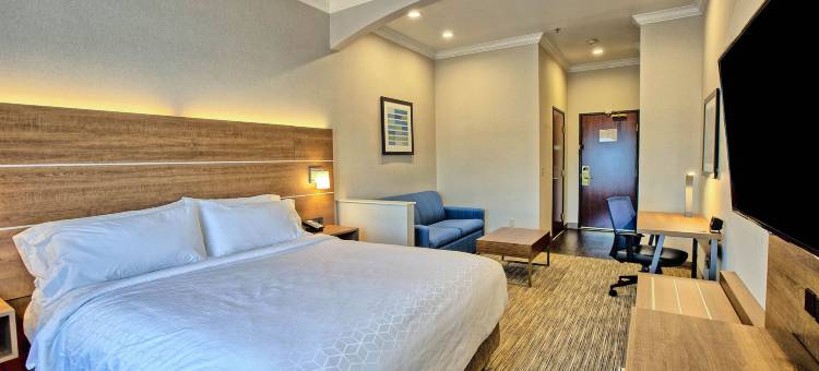 智选假日套房酒店-戴维斯/大学城(Holiday Inn Express & Suites Davis - University Area)图片