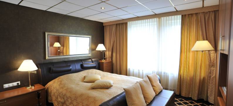 贝亨奥普佐郁金香旅馆(City Hotel Bergen op Zoom)图片