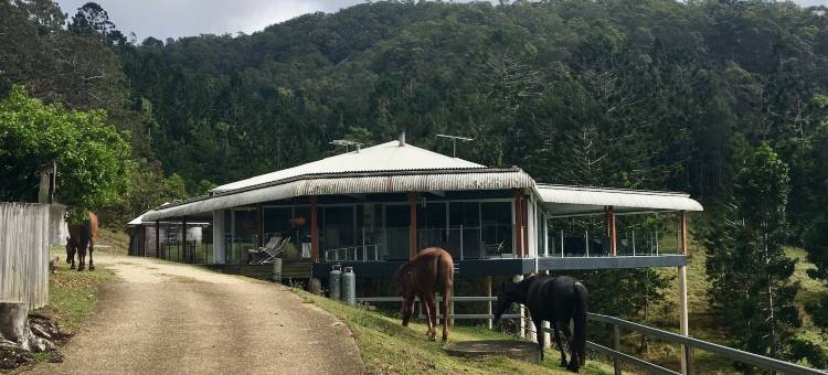 英格尔赛德马场酒店(Ingleside Stud Farm)图片