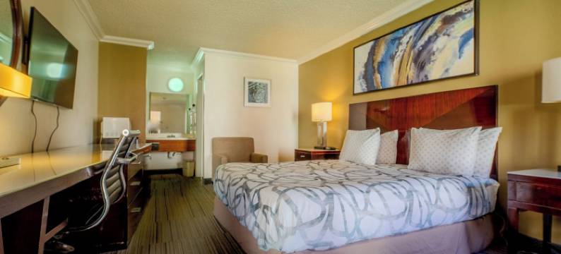 国民 9 号旅馆(National 9 Inn)图片