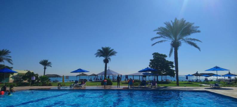 火烈鸟海滩酒店(Flamingo Beach Hotel)图片