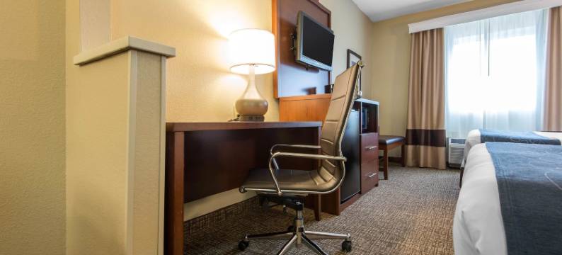 舒适套房酒店罗切斯特亨利埃塔大学区(Comfort Suites Rochester Henrietta University Area)图片