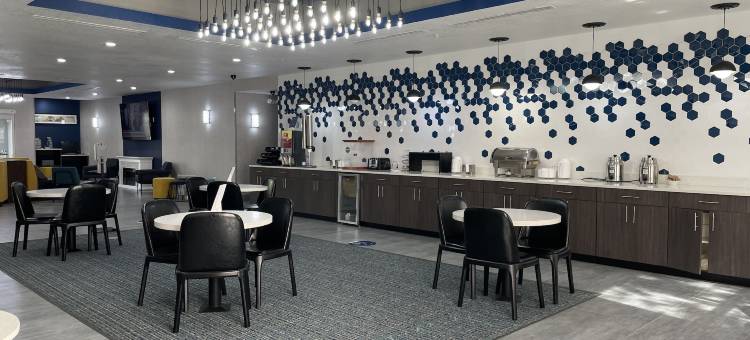 坦帕中心拉昆塔温德姆套房酒店(La Quinta Inn & Suites by Wyndham Tampa Central)图片