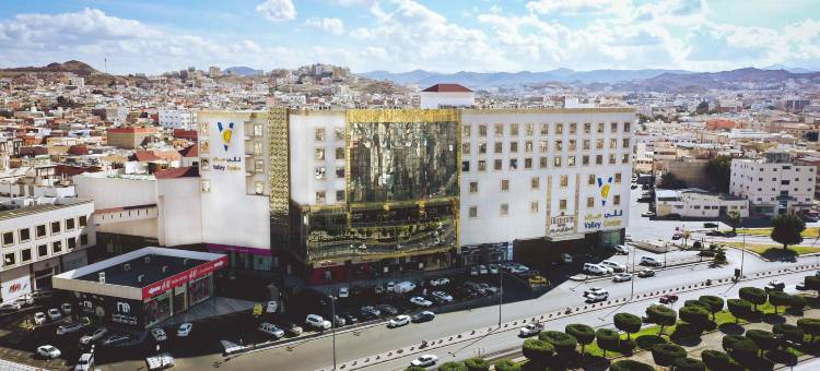 塔伊夫铱星酒店(Iridium Hotel)图片