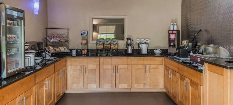 贝拉维农舒适酒店(Comfort Inn)图片