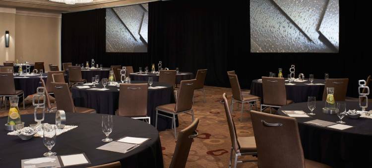 底特律诺维巴朗纳特万丽酒店(The Baronette Renaissance Detroit-Novi Hotel)图片