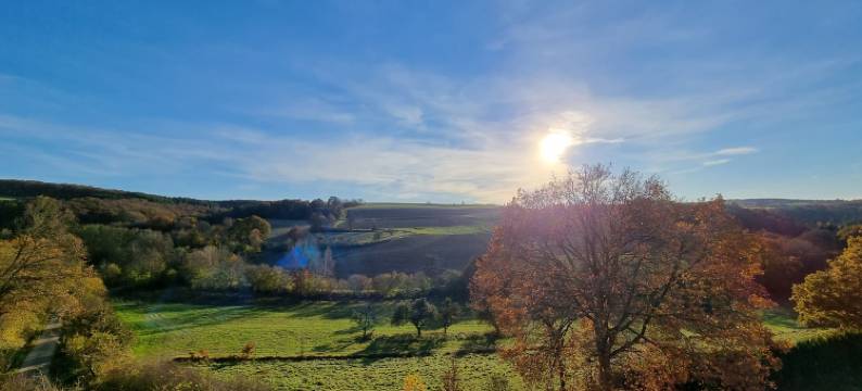 莫斯巴其酒店(Zur Morschbach)图片