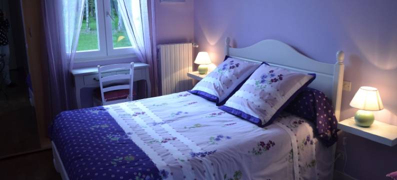 瑟蒙迪雷民宿(La Semondière)图片