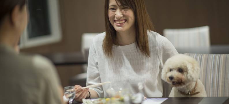 WAN WAN 宠物度假天堂 鸟羽(Wan Wan Paradise Toba)图片