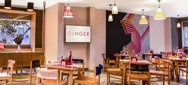 维卡德金格尔酒店(Ginger Pune Wakad)图片