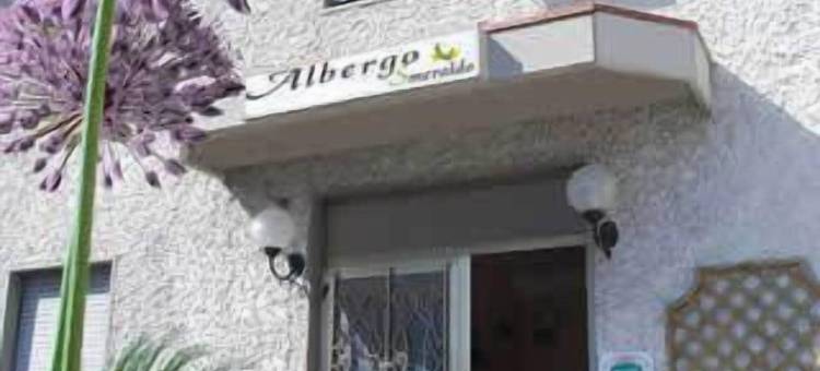 斯姆拉尔德酒店(Albergo Smeraldo)图片