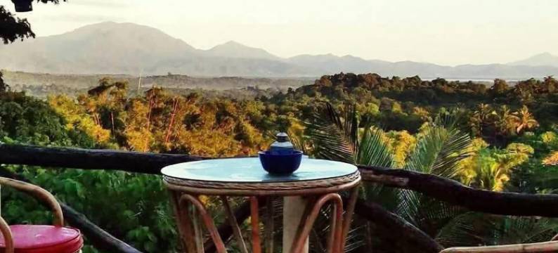 阿尔哈姆拉丛林度假村(Al Hamra Jungle Resort)图片