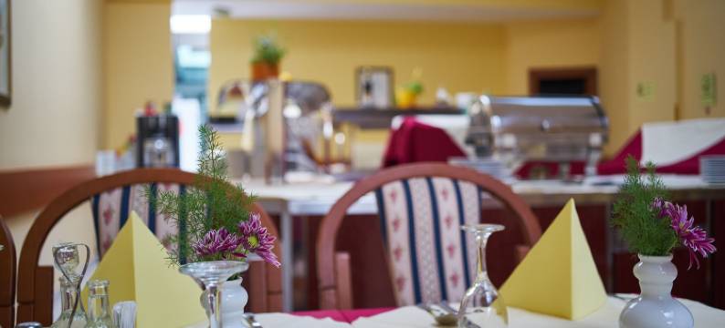 玫瑰别墅酒店(Hotel Vila Ružica- Glavna Zgrada I Depandanse)图片