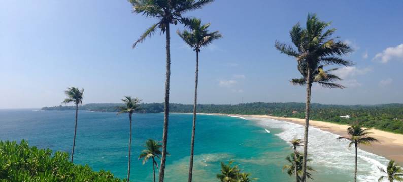 季节 4 酒店(Seasons Four Mini Jungle Cabana)图片