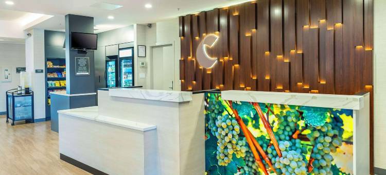 舒适套房酒店(Comfort Suites)图片