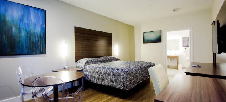 盖斯纳布鲁US-59宫殿旅馆(Palace Inn Blue US-59 & Gessner)图片