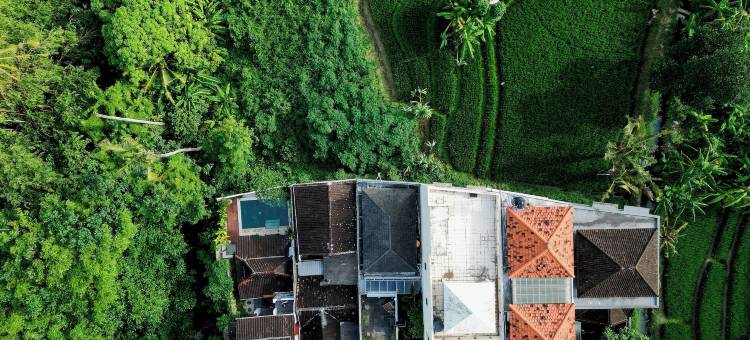 长谷河屋别墅，由Betterplace管理(Canggu River House Villa by Betterplace)图片