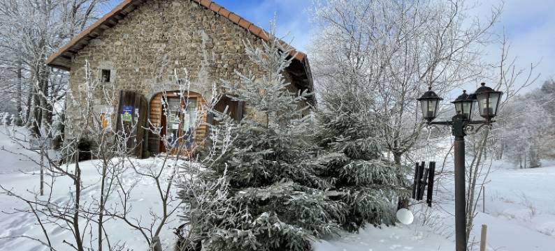 嘉塞里·勒埃雷勒酒店(Jasserie les Airelles)图片