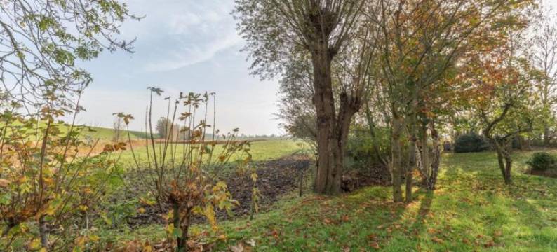 带瓷砖炉的茅草屋度假屋(Reetgedecktes Ferienhaus Mit Kachelofen)图片